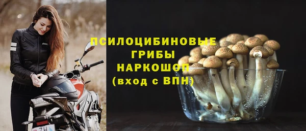 прущая мука Армянск