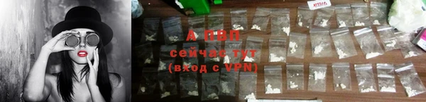 СК Арсеньев