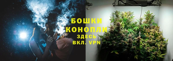 кристаллы Гусь-Хрустальный